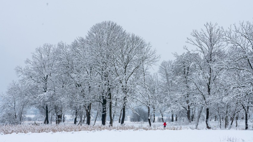 Zimowe krajobrazy pod Krakowem. Zachwycać mogą oszronione drzewa, ale i osiedla mieszkaniowe zasypane śniegiem 