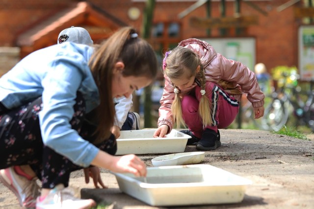 Stowarzyszenie „Tilia” zajmuje się m.in. prowadzeniem Szkoły Leśnej na Barbarce, a także prowadzi działania edukacyjne, uczy jak dbać o przyrodę kolejne pokolenia, utrzymuje teren Barbarki, chroni zwierzęta i drzewa, a teraz także pomaga uchodźcom z Ukrainy.