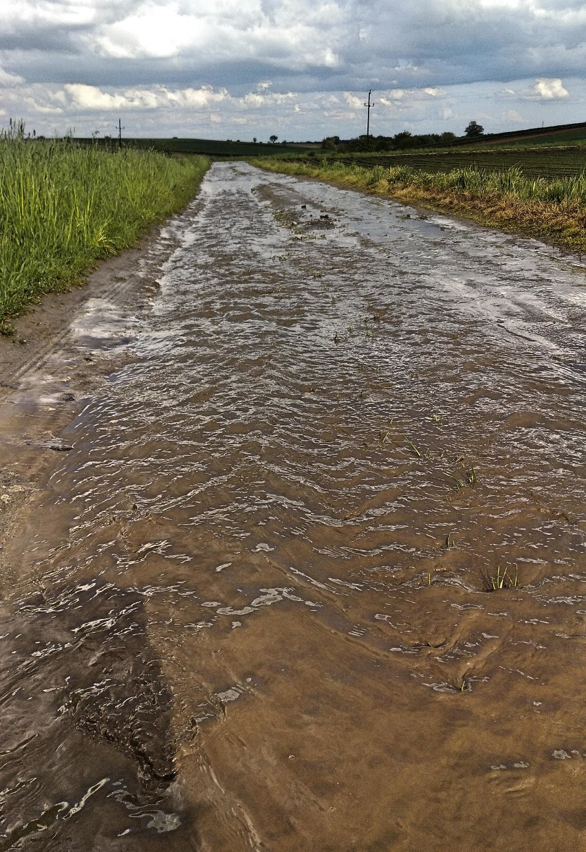 Grębocin. Mieszkańcy proszą o dobrą drogę do domów