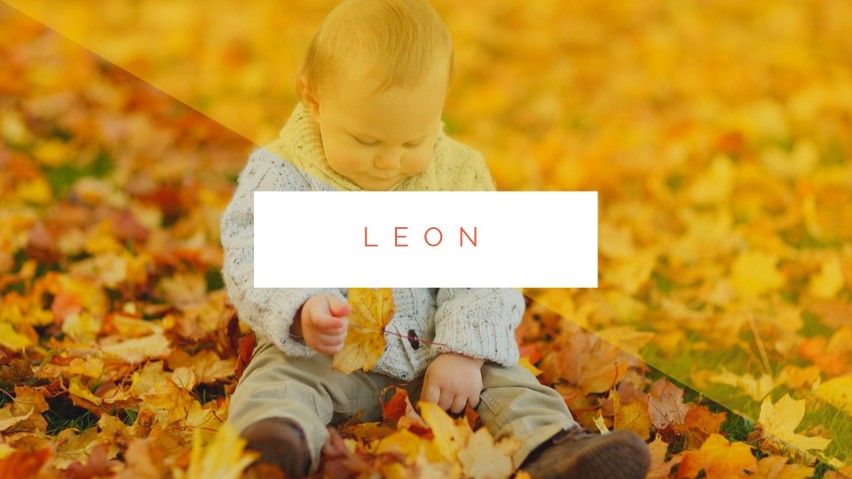 Imię Leon w pierwszym półroczu 2018 roku otrzymało 1750...