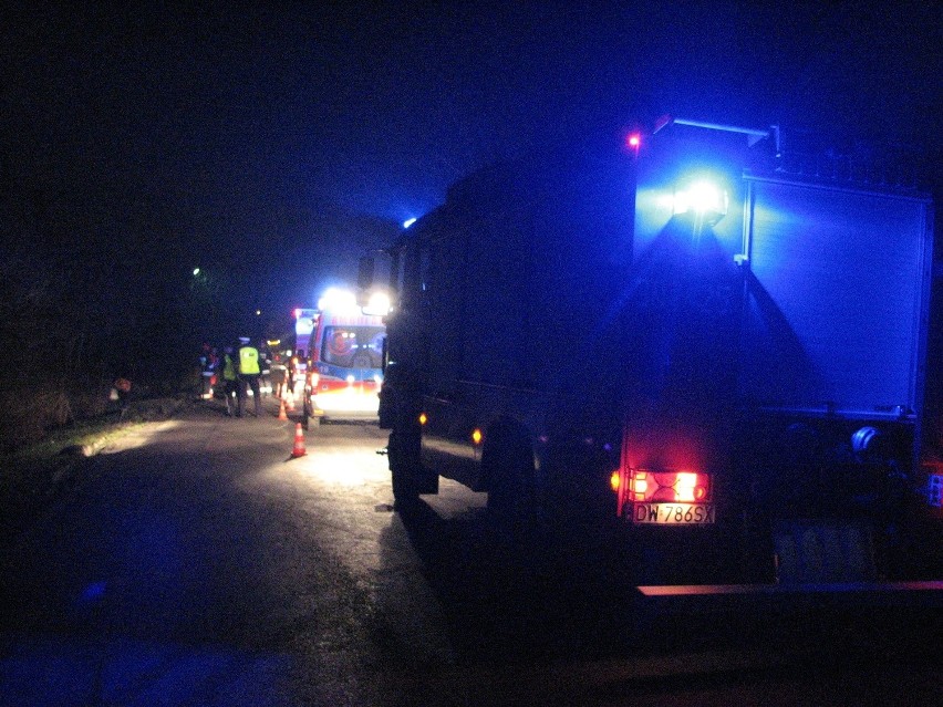 Wypadek na Wilkszyńskiej. Po uderzeniu w drzewo, zginął kierowca samochodu osobowego (ZDJĘCIA)