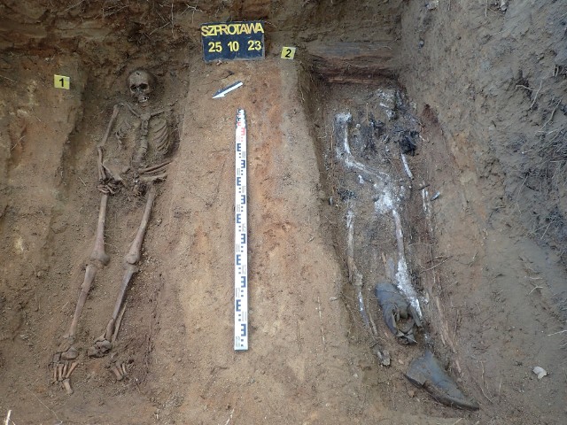W Szprotawie odkopano mogiłę, w której spoczywały szczątki 11 lotników niemieckich.