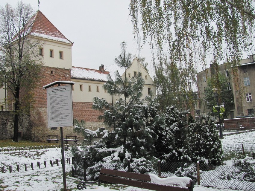 Zamek piastowski w Gliwicach