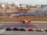 Kolejny pożar traw w Lublinie. Ogień na rogu ulic Szeligowskiego i Północnej (ZDJĘCIA)