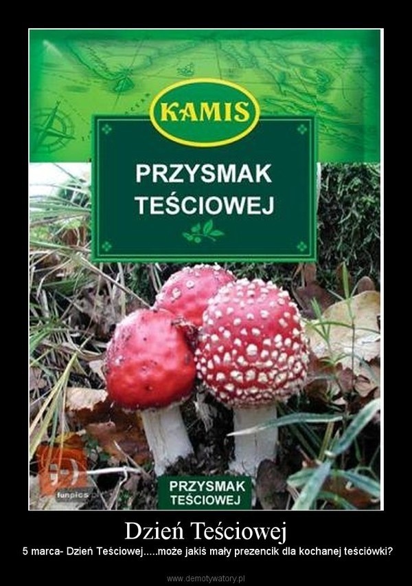 Dzień Teściowej: Śmieszne i rymowane życzenia dla teściowej [MEMY, SMS,  DZIEŃ TEŚCIOWEJ 2020] | Polska Times