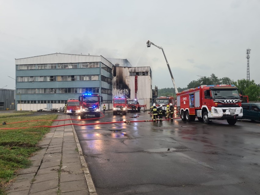 Wielki pożar zakładu w Głownie. Płonie budynek magazynowo-produkcyjny firmy Solan ZDJĘCIA, FILM