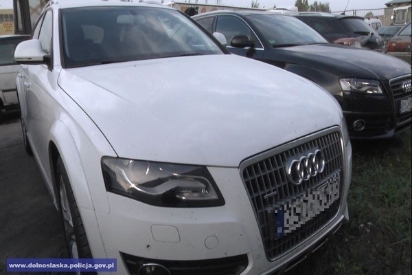 Trzy samochody marki Audi warte 360 tys. zł znalezione w dziupli (FILM, FOTO)