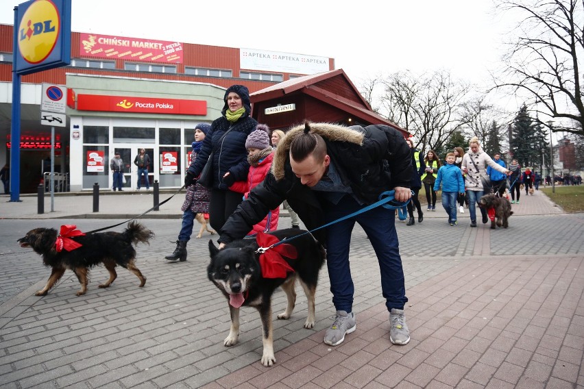 Walentynkowy spacer z psami cieszył się dużą popularnością.