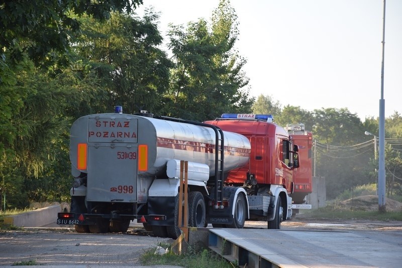 Pożar wysypiska śmieci w Mostkach koło Zduńskiej Woli