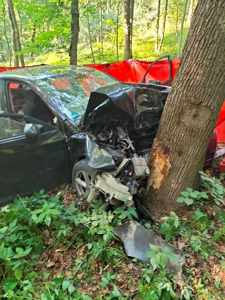 Tragiczny wypadek pod Grudziądzem. Samochód uderzył w drzewo. Nie żyje jedna osoba [zdjęcia]