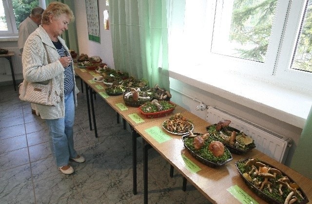 Na wystawie zaprezentowano ponad 90 gatunków grzybów...