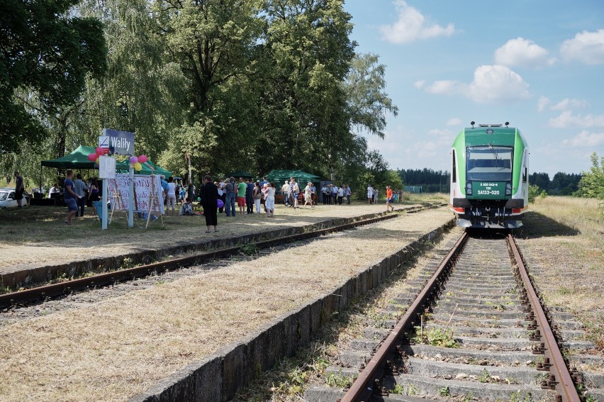 Od 1 maja ruszają połączenia kolejowe z Białegostoku do Walił. Pociągiem przez Puszczę Knyszyńską pojedziemy w każdy weekend od czerwca