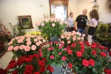 IX Festiwal Róż w Goczałkowicach-Zdroju. Piękne kwiaty, wystawy, koncerty, warsztaty... Zobaczcie ZDJĘCIA
