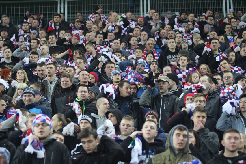 Górnik Zabrze - Sandecja Nowy Sącz 2:0