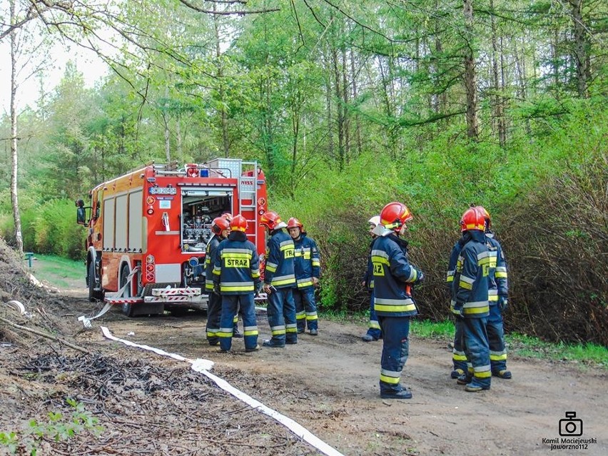 Strażacy gasili pożar lasu na Sosinie - ćwiczenia