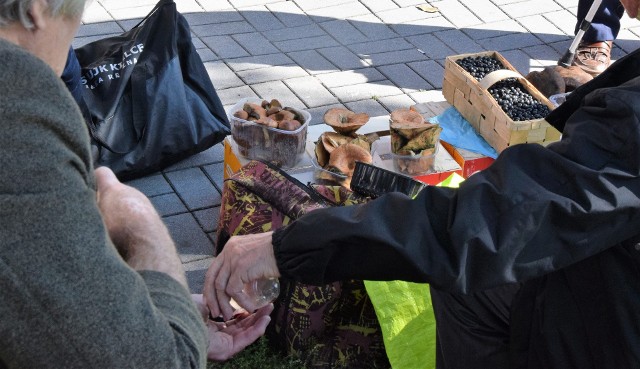 Wrzesień to pełnia sezonu na grzyby w Świętokrzyskiem. Nic dziwnego, że na bazarach w Kielcach, w piątek 3 września pojawiło się wielu sprzedających borowiki, kurki, kozaki, podgrzybki, maślaki czy kanie. Ceny są nieco wyższe niż rok temu - za pojemnik borowików trzeba na przykład zapłacić 16 złotych.Na kolejnych slajdach zobaczcie różne grzyby oferowane w piątek 3 września na bazarach w Kielcach, wraz z cenami