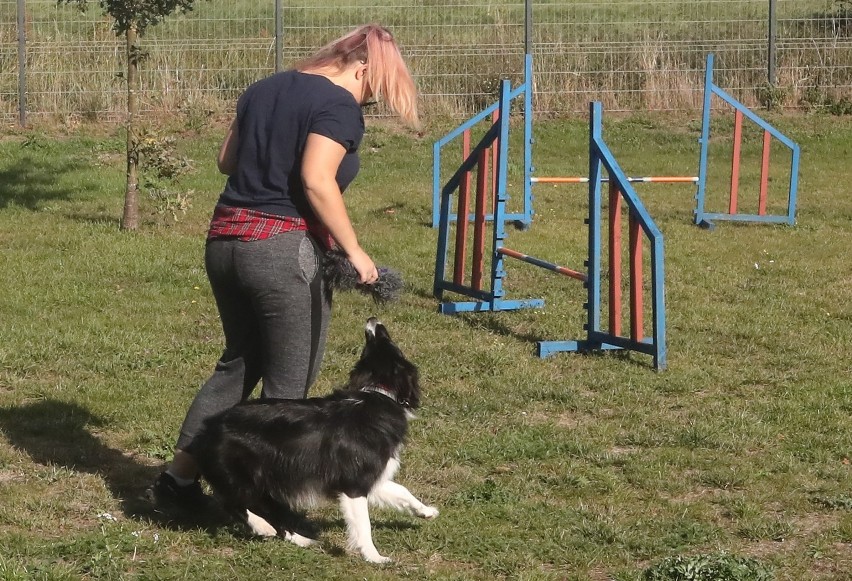 Piąte urodziny schroniska w Dobrej [ZDJĘCIA, WIDEO]