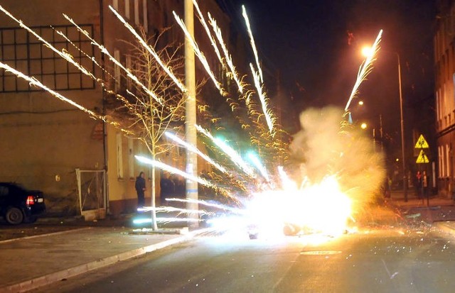 Na rzecz Schroniska dla Zwierząt w Bydgoszczy prowadzona jest akcja #NieStrzelamyPomagamy. Schronisko oraz Urząd Miasta Bydgoszczy apelują do bydgoszczan, by powitali 2021 rok bez petard i fajerwerków.