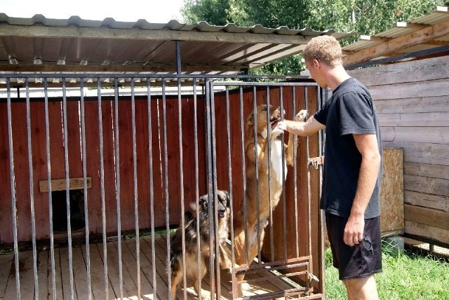 Duży pies wcale nie musi być agresywny. Te w gospodarstwie lekarza weterynarii Agnieszki Łochowskiej lubią towarzystwo ludzi. 