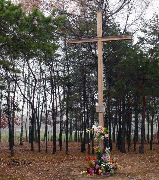 Krzyż na wzgórku stał się obiektem konfliktu prezydenta z &#8222;Solidarnością&#8221;, częścią radnych i przedstawicielami Kościoła.