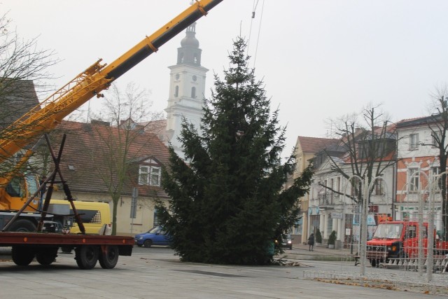 Na Wolsztyńskim Rynku stanęła choinka