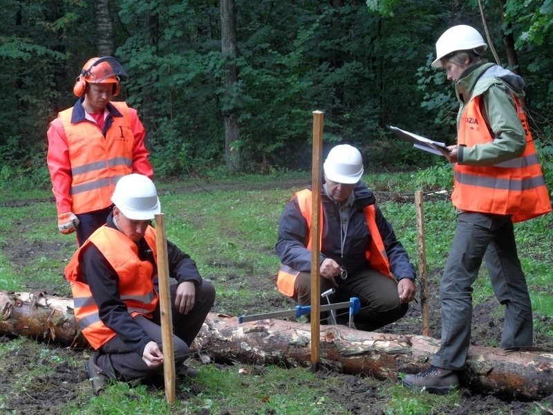 Cietrzewisko 2013 w Koszęcinie