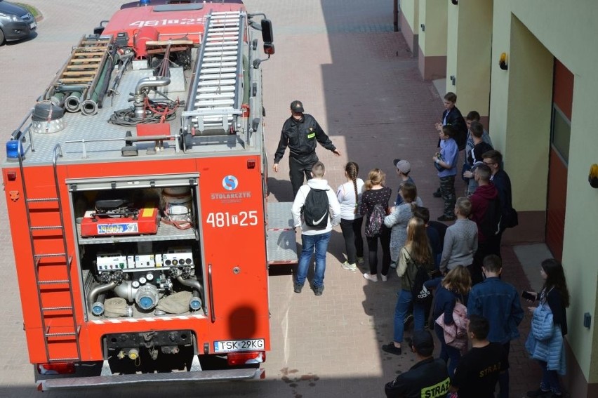 Oto mistrzowie wiedzy pożarniczej w powiecie skarżyskim