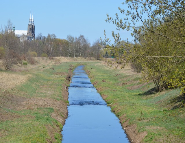 W ubiegłym roku trzykilometrowy odcinek rzeki Kamiennej w Skarżysku został "naprawiony" na zlecenie Wód Polskich. Rzeka, wyprostowana w latach 70 tych XX wieku, właśnie wracała do naturalnego stanu.