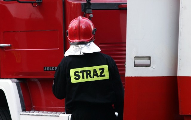 Przy ul. Lwa w Poznaniu interweniowało pięć zastępów straży pożarnej.