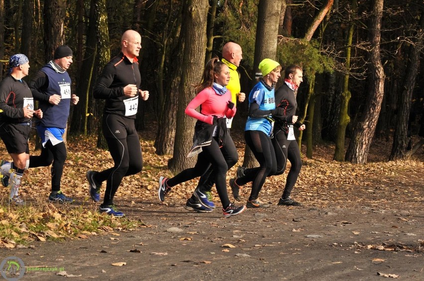 Bieg Wiewiórki 2016 - zdjęcia z finałowego biegu