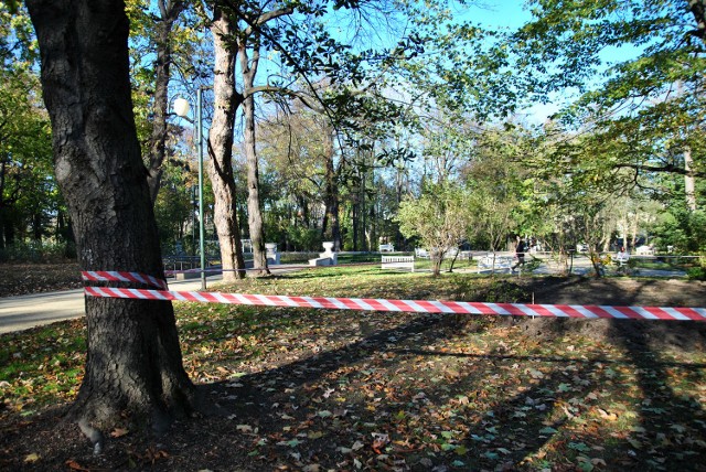 Ogród Saski w Lublinie. Ogrodzony teren to miejsce, w którym stanie woliera dla pawi.