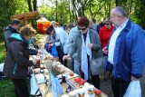 Miód z pasieki hitem w Bierkowicach. Targi pszczelarskie odwiedziło 4 tysiące ludzi