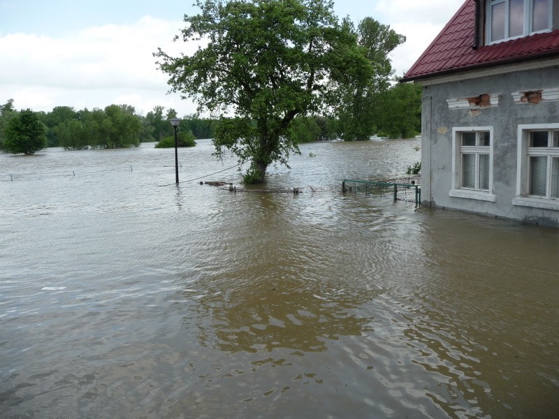 Odra w Bytomiu Odrzanskim