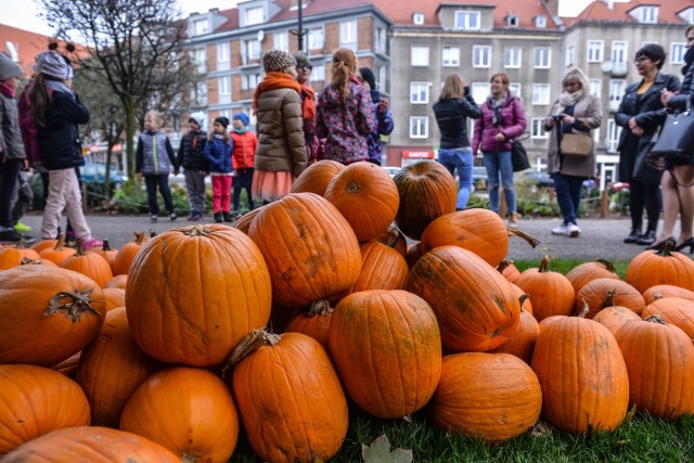 Od piątku (5 października) Gdańsk, w kilku lokalizacjach zdobią piękne dynie. Atrakcję przygotował Gdański Zarząd Dróg i Zieleni. Rośliny pojawiły się w kilku lokalizacjach: na skrzyżowaniu al. Grunwaldzkiej z ul. Słowackiego w pobliżu Galerii Bałtyckiej, w Parku Oliwskim, na Rondzie Katynia oraz na pl. Kobzdeja w Śródmieściu.