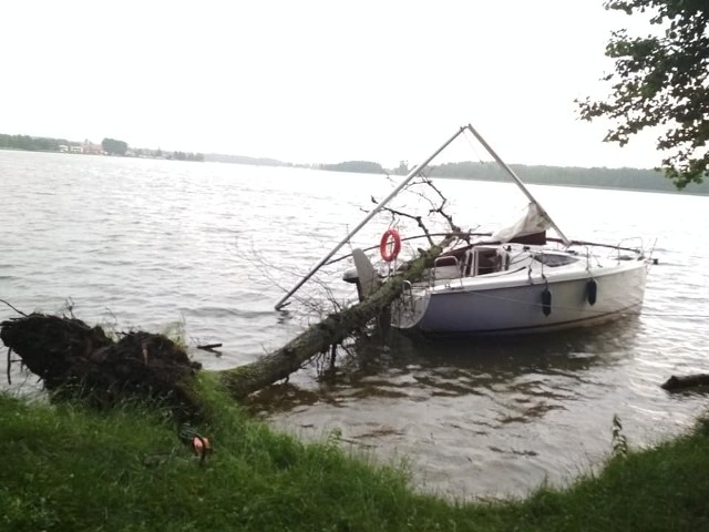 W czwartek na jeziorze Bocznym w miejscowości Bogaczewo (pow. giżycki) drzewo zwaliło się na jacht.