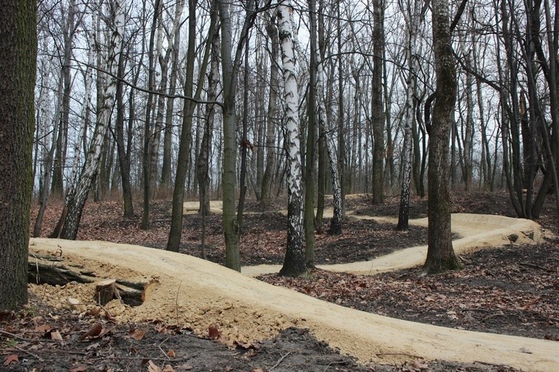 Tor rowerowy w Parku Strzelnica kolejnym zrealizowanym...