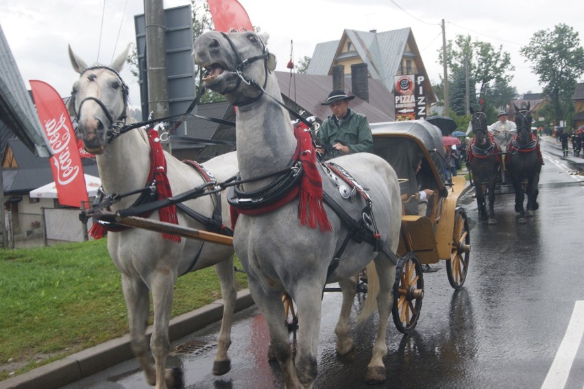 Rozpoczęcie 52 Sabałowych Bajań w Bukowinie Tatrzańskiej