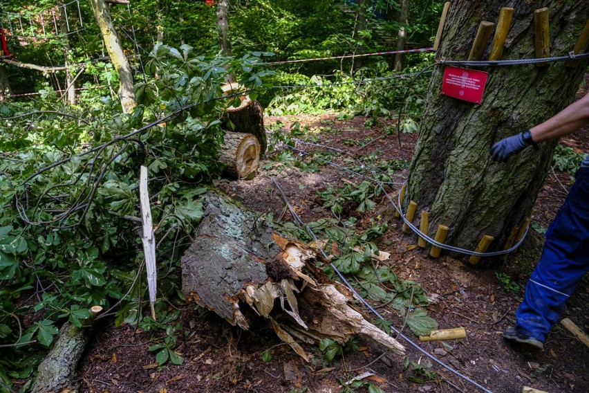 Nawałnica uszkodziła Park Linowy na Barbarce. Część tras pozostaje zamknięta