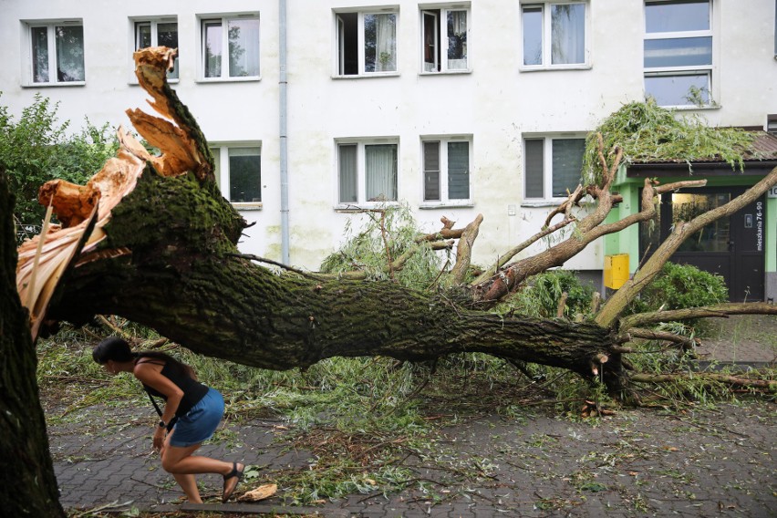 Kraków. Krajobraz po burzy na osiedlu Podwawelskim. Zniszczone samochody, powalone potężne drzewa, zablokowane drogi