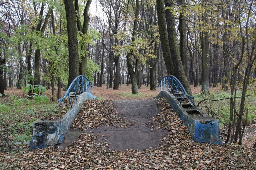 Tak wygląda park Zielona w jesiennych barwach