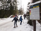 Tatry. Nocą już nie można wędrować po górach. Grozi za to mandat 