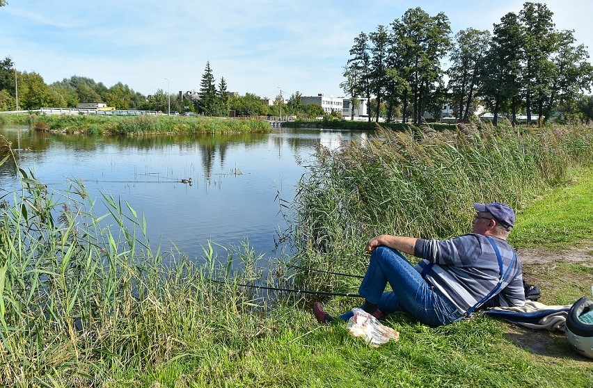 Miasto Białystok uhonorowane za rozwój komunikacji rowerowej...