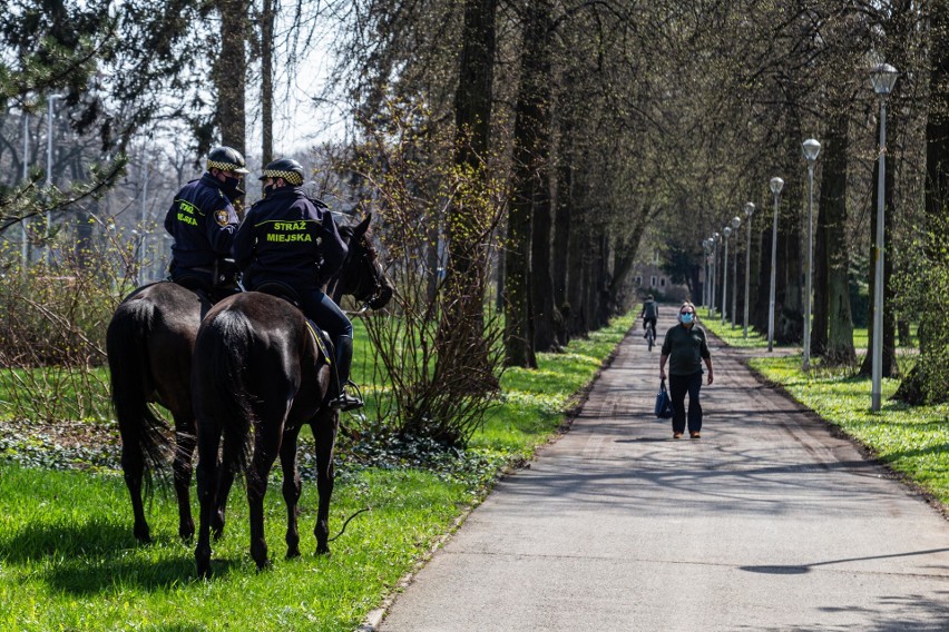 Konny patrol straży miejskiej interweniował w parku Zachodnim. Co się stało? 