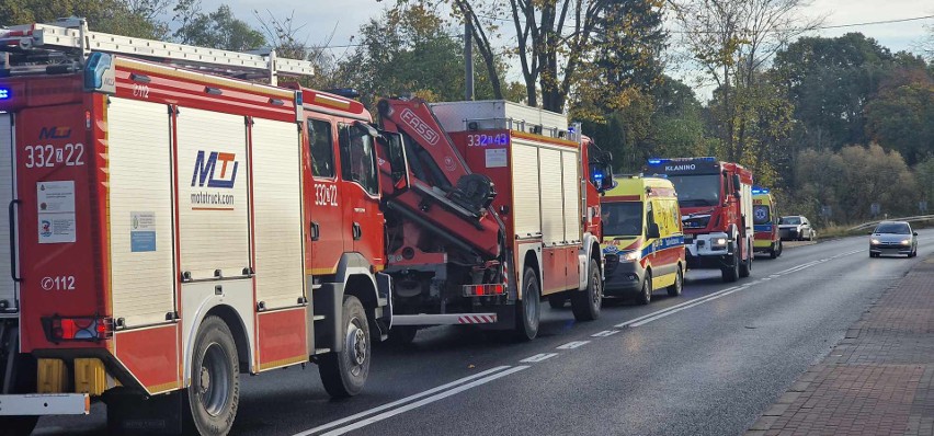 Wypadek na drodze krajowej nr 11 w Grzybnicy