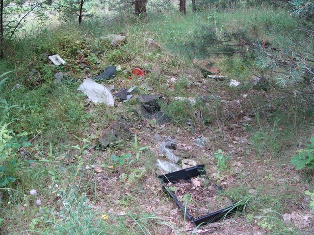 Las w Borkowie, gmina Daleszyce powoli zamienia się w wysypisko śmieci.