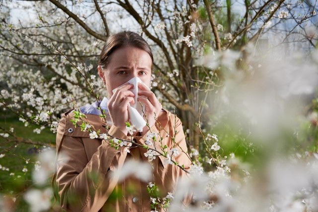 Wiosna to czas intensywnego pylenia większości roślin takich jak topola, brzoza, wierzba, jesion, dąb oraz trawy. Nie jest to łatwy czas dla alergików. Warto wypróbować sposoby, które zmniejszą ilość otaczających nas pyłków oraz zniwelują tym samym nieprzyjemne objawy alergii.