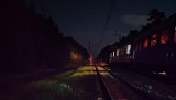 Zerwana trakcja kolejowa między Popielowem, a Karłowicami. Ewakuowano pasażerów pociągu