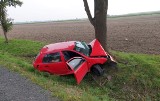 Wypadki na opolskich drogach. Auto uderzyło w drzewo pod Krapkowicami, zderzenie samochodów w Chróścicach