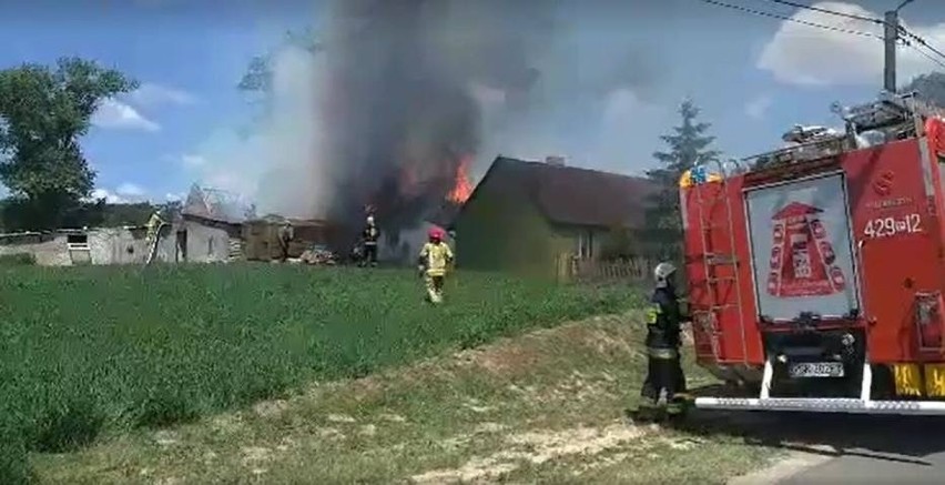 Gmina Gniezno. Pożar budynków gospodarczych w Dębówcu