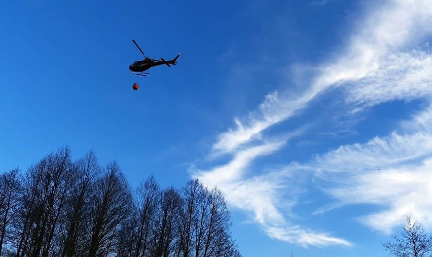 Pomorscy strażacy pomagają przy gaszeniu terenów...